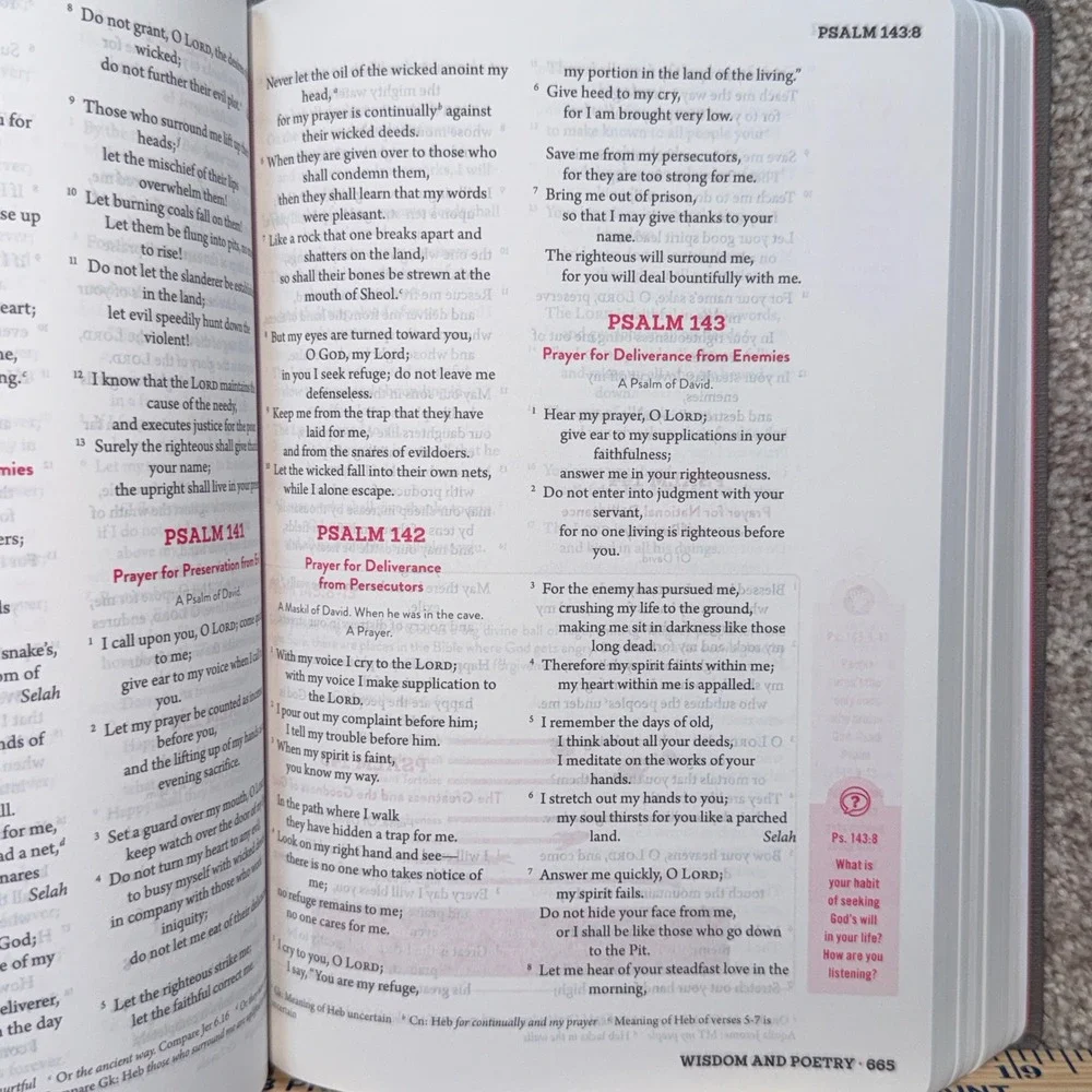 Colaborate Methodist Student Bible NRSV Grey Hardcover Sparkhouse 2016 Edition